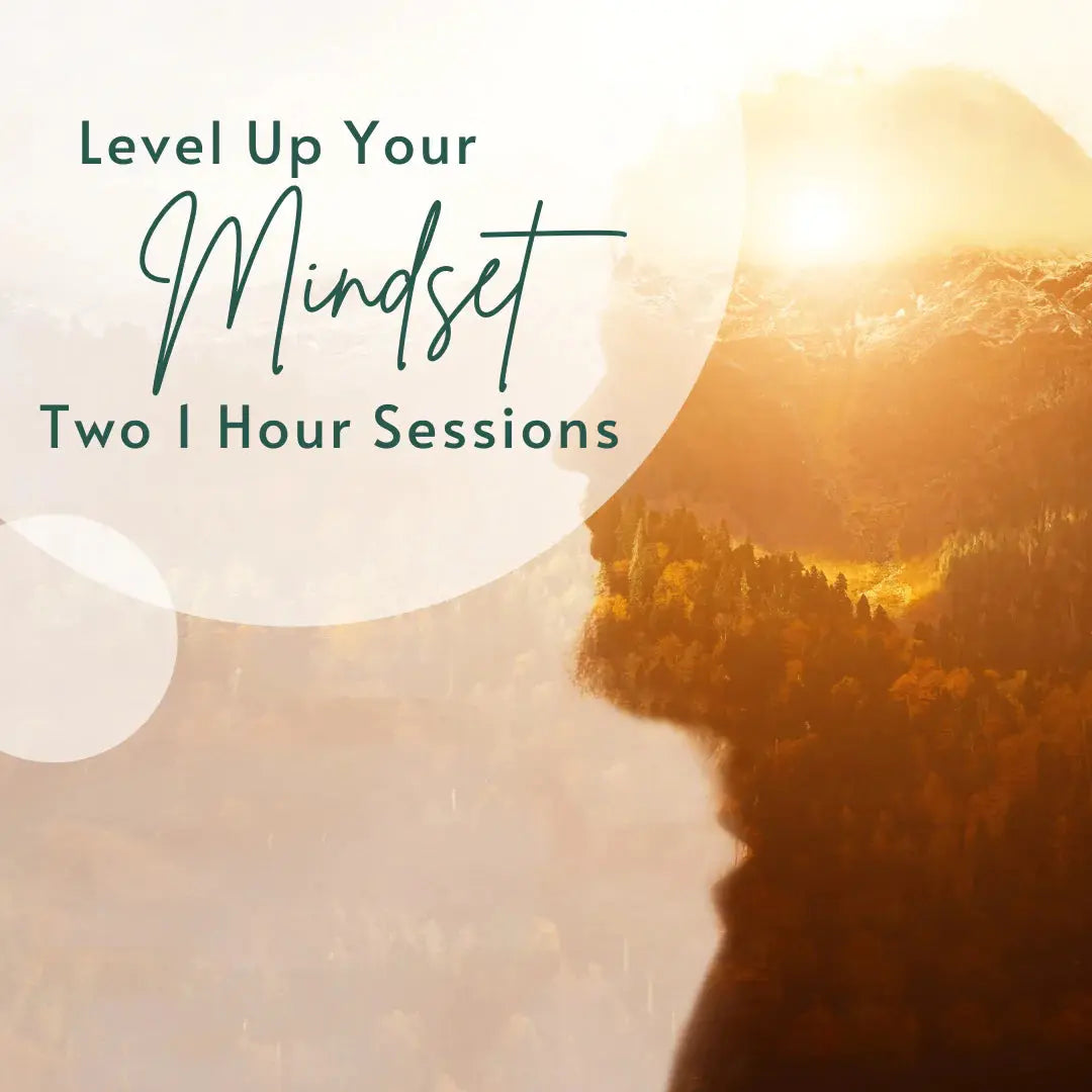 Level Up Your Mindset | Two 1-Hour Sessions eutaptics® FasterEFT